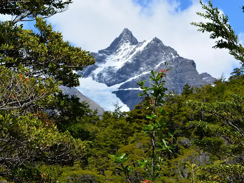 Cumbres y paredes de roca del Cerro Mayo en el Seno Mayo, paisaje de alta montaña en el Parque Nacional Los Glaciares.